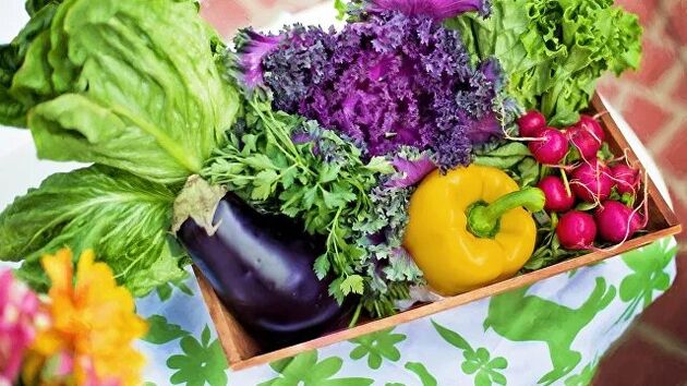 zöldségek és zöldek a ducani étrend étrendjében